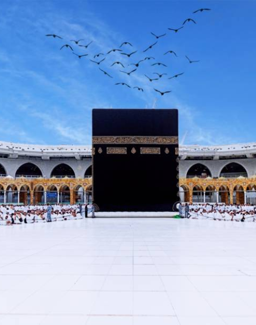 MECCA